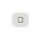 Apple iPhone 5 home gomb, feh�r